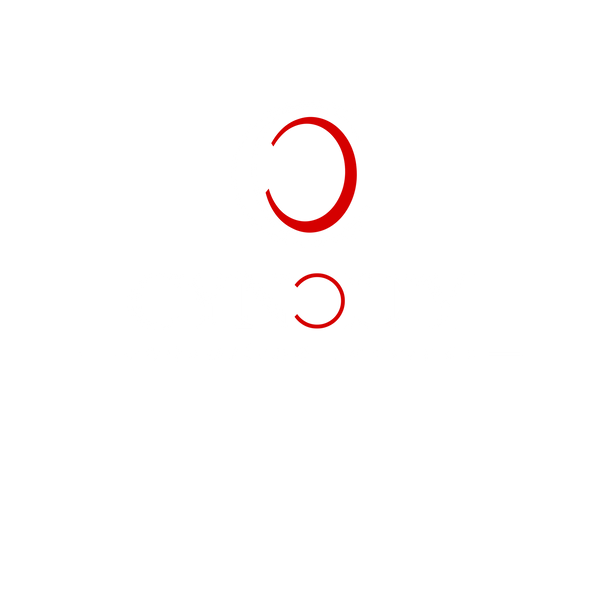 Cyn City Consulting